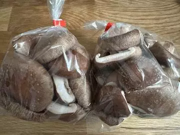 白石 愛莉