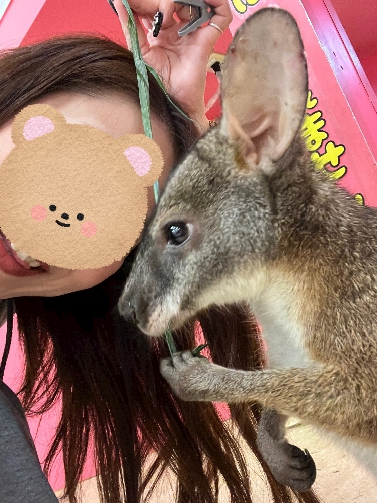 高槻 かえで