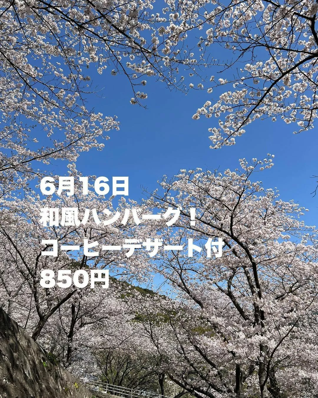 藤本 祐子ママ