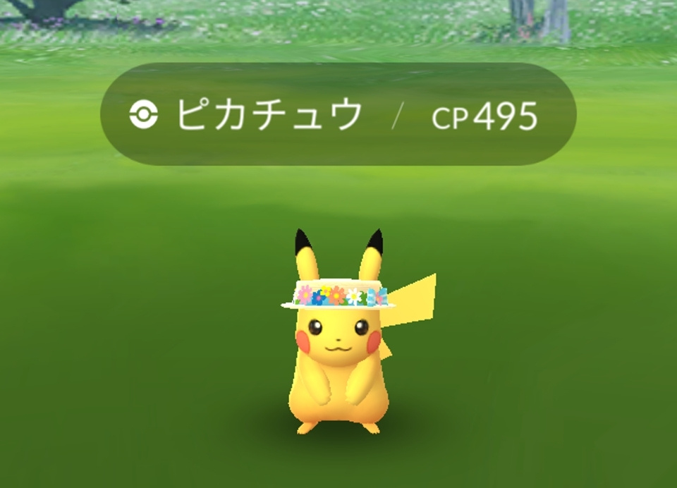 五条 椿