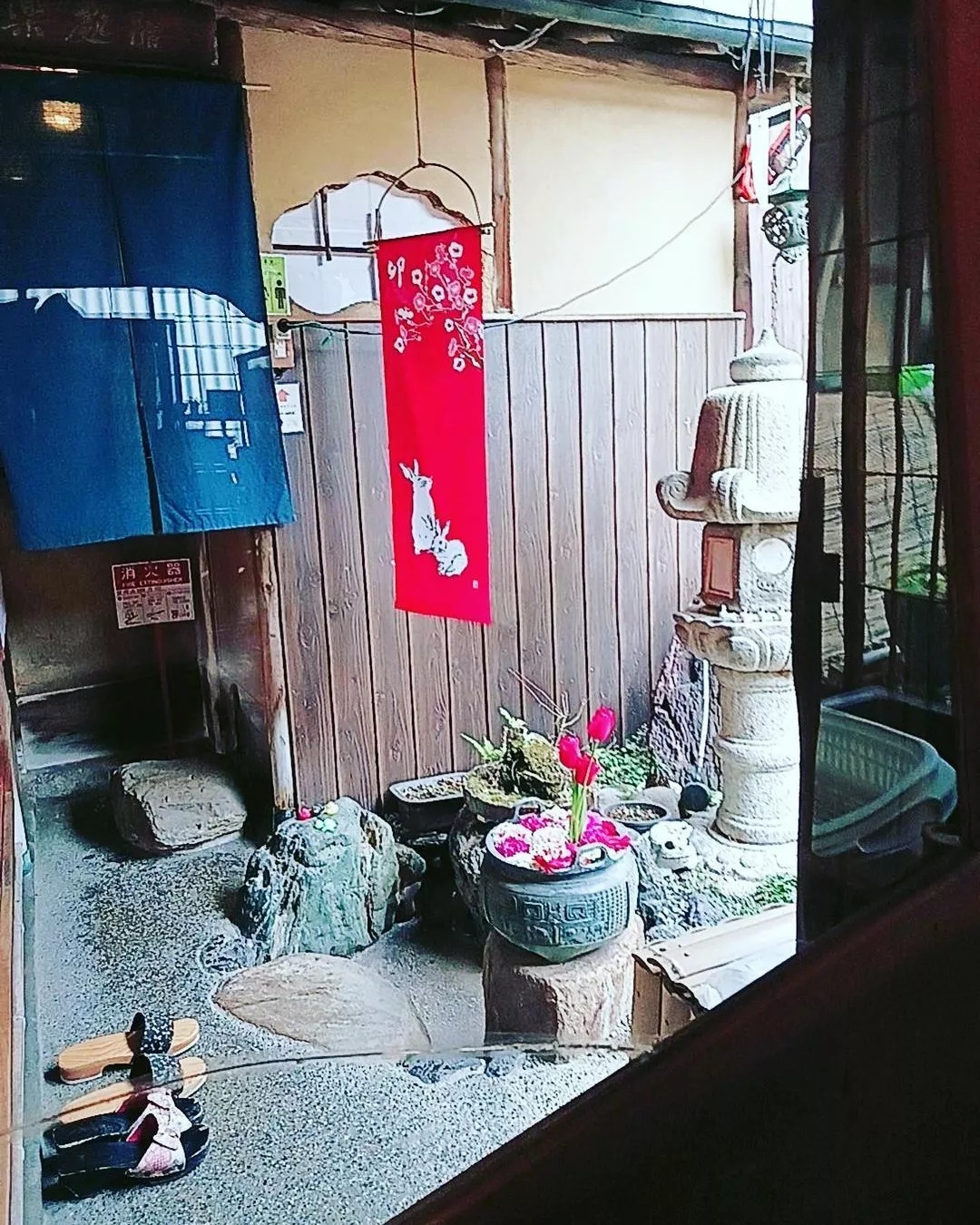 田中 美緒