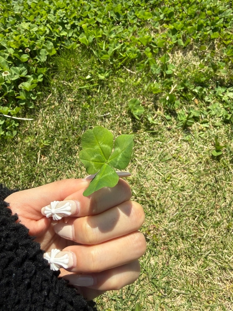 メリア