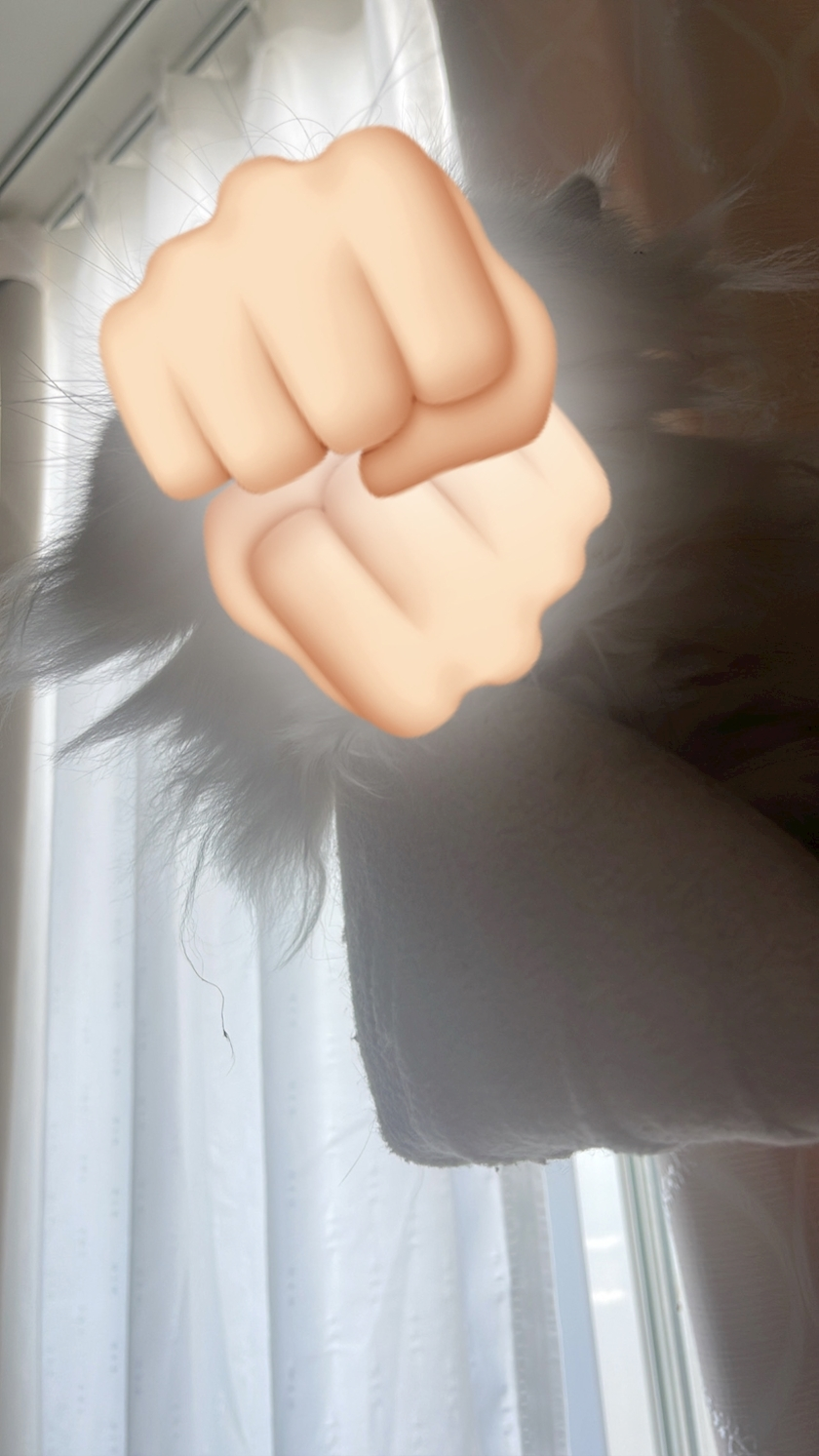 琶月 さな