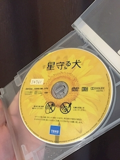 さくら