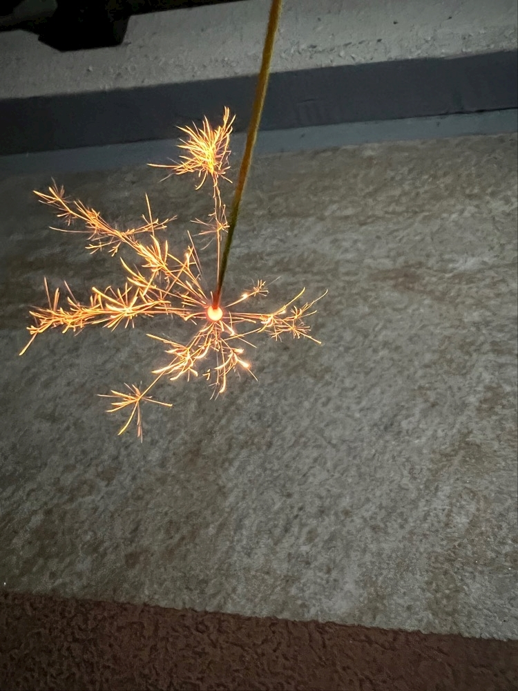 七星 舞冬