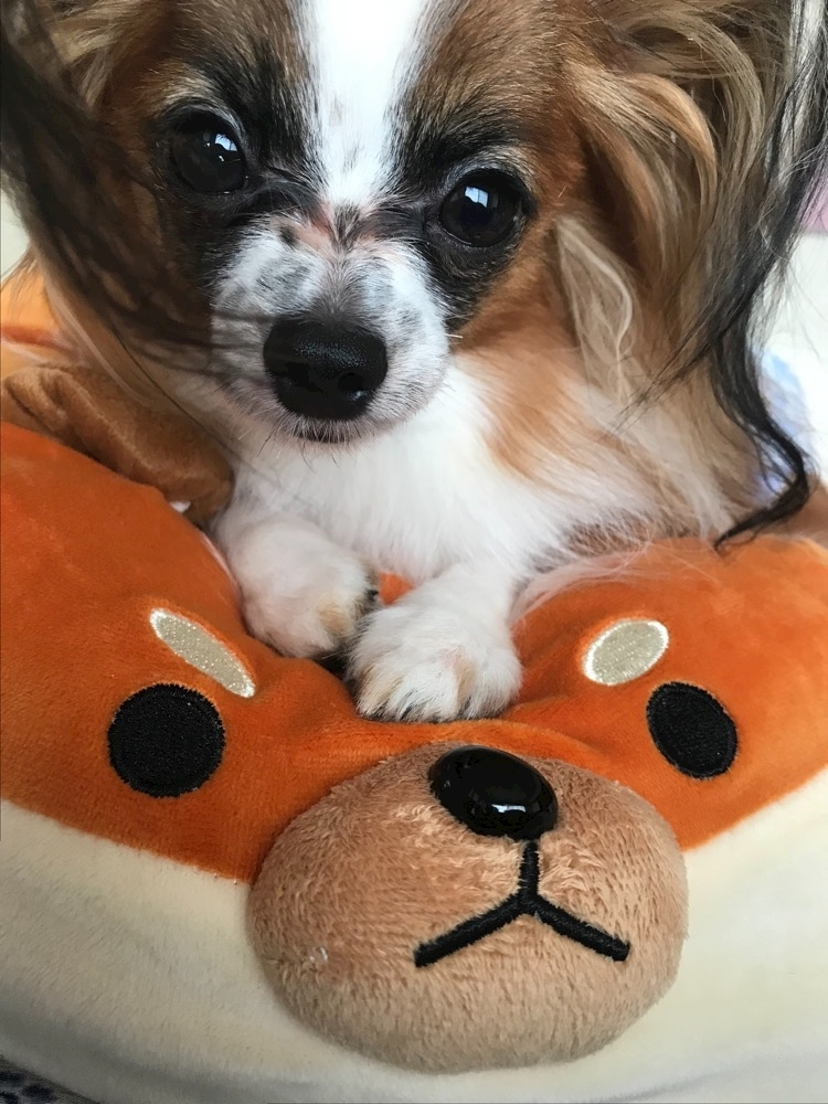 ティナ