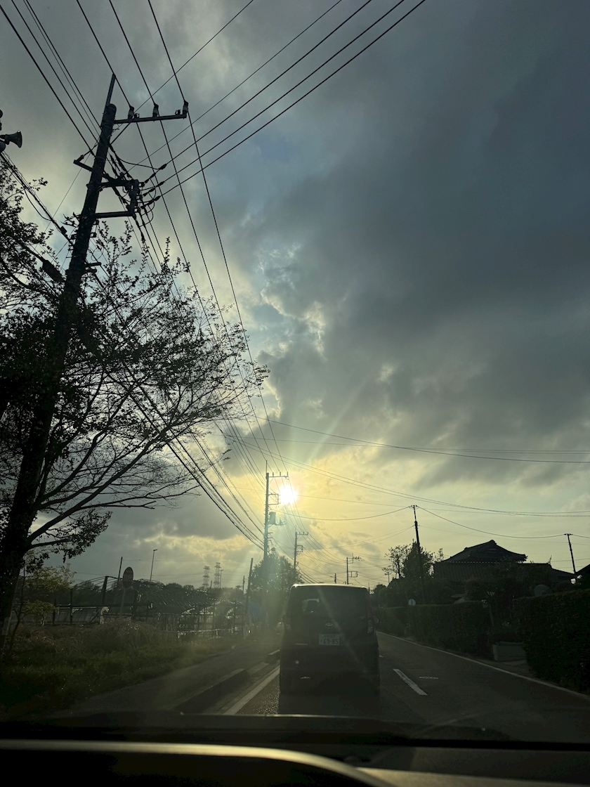 せいか