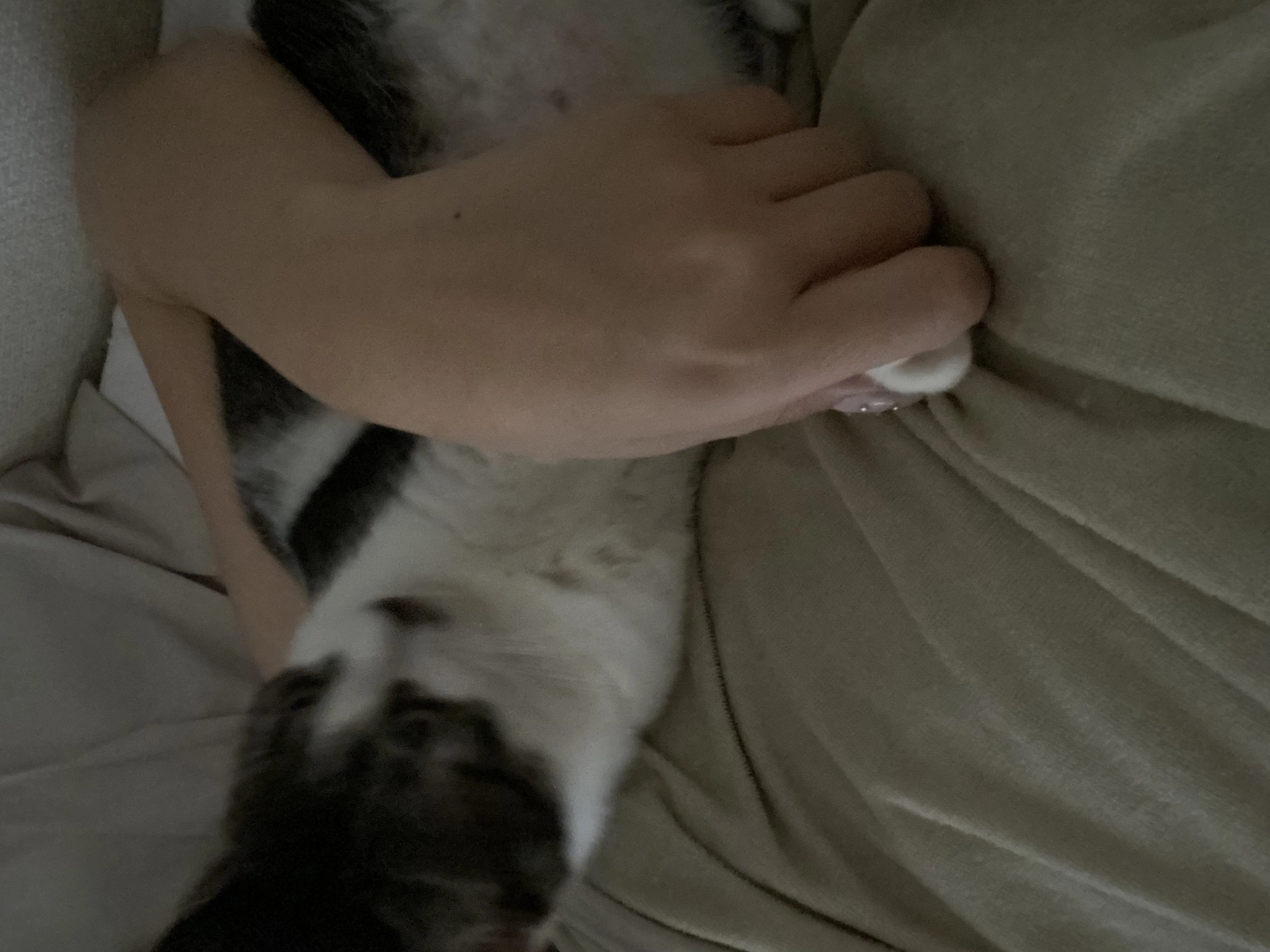 あきら