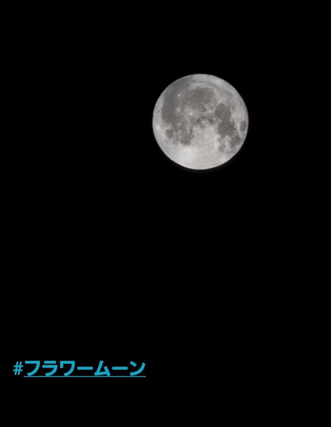 紫音