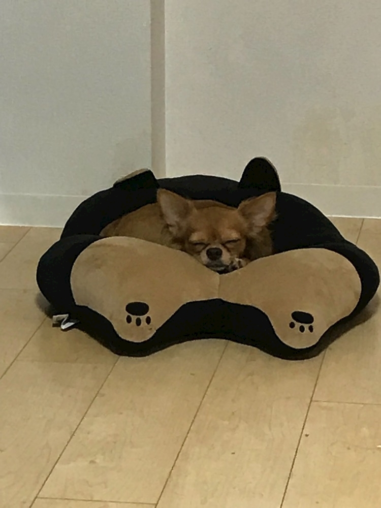 ユカ