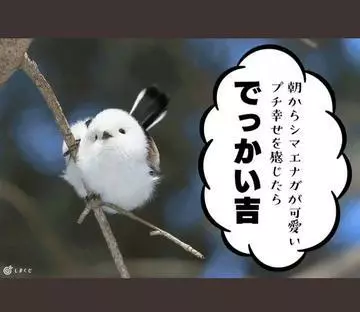 ひな