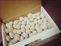 桃瀬 百華