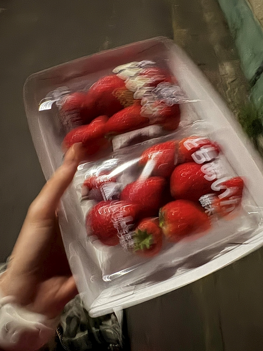 せいか