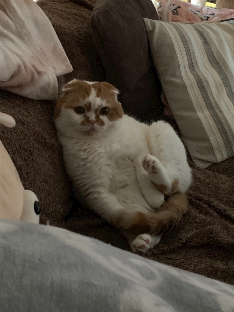 れみ