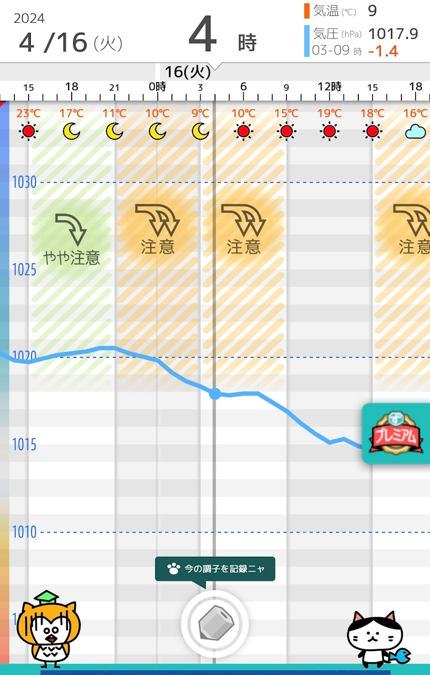 佐倉 里緒