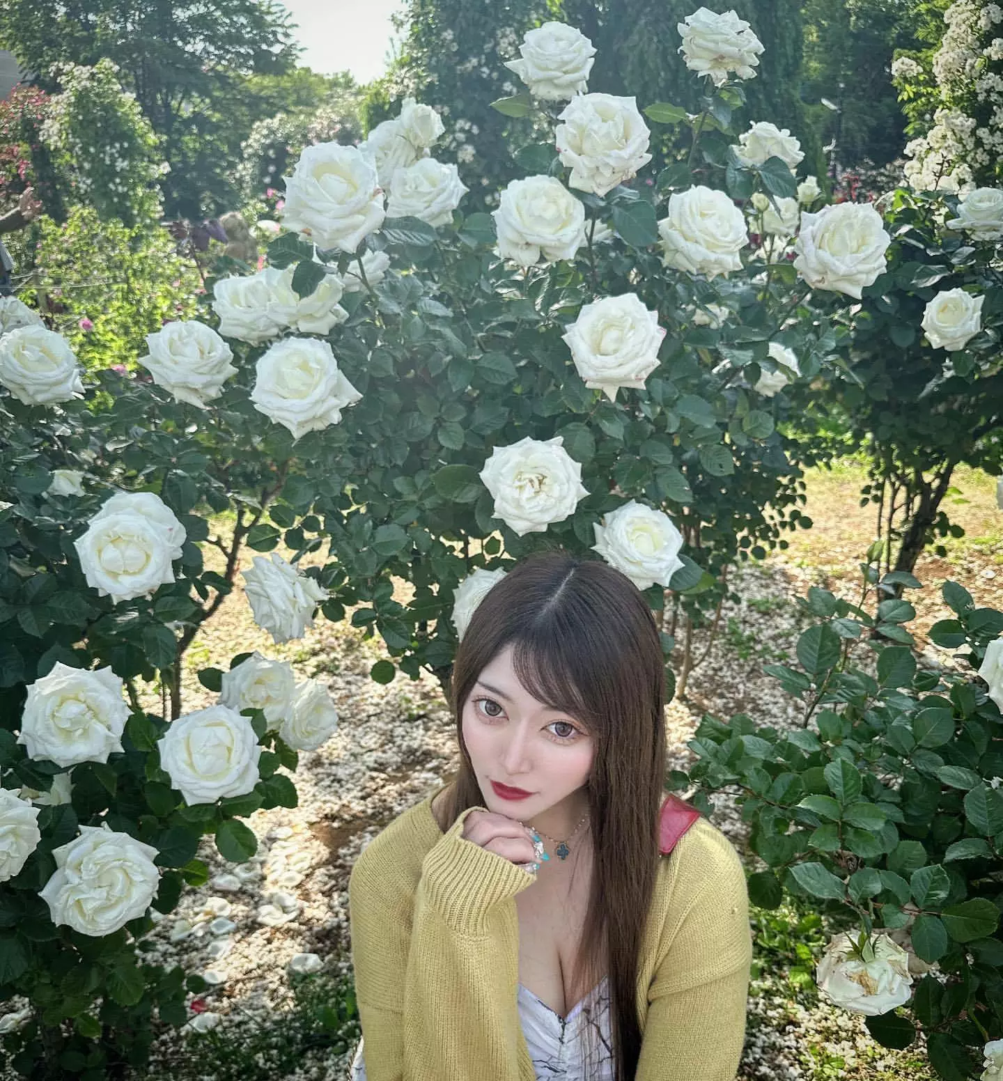 じゅり