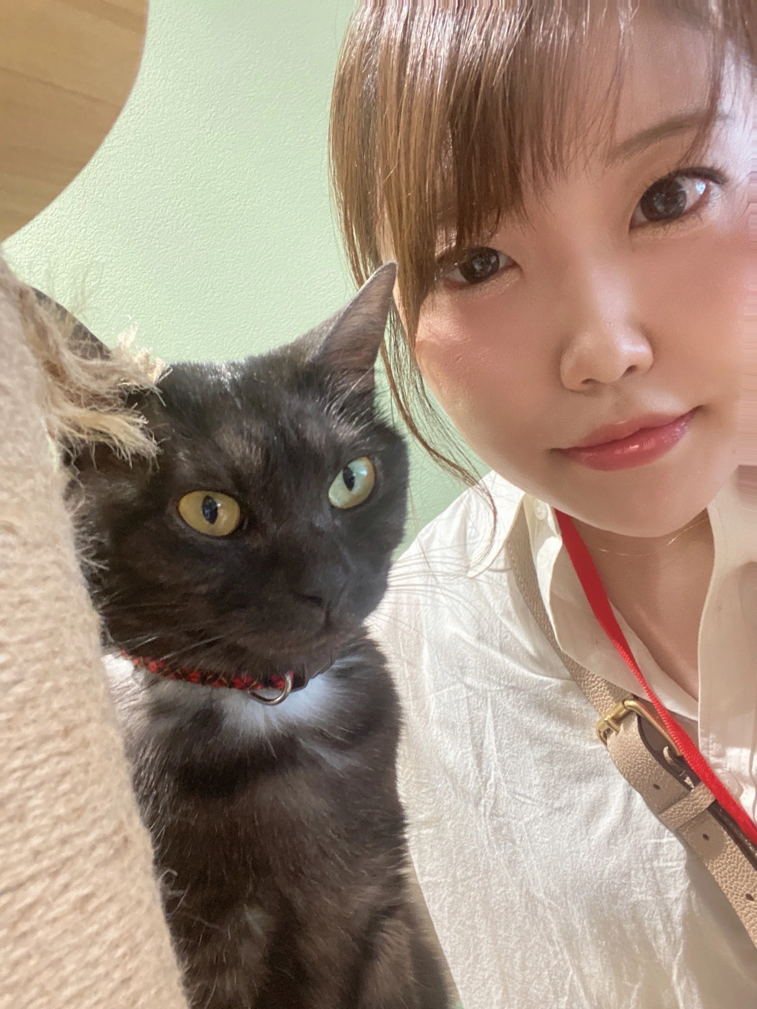 しおり