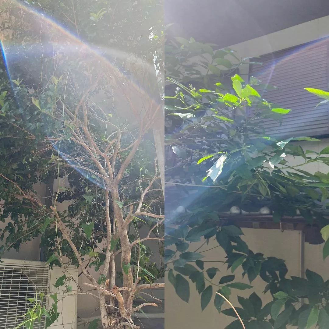 藤本 祐子ママ