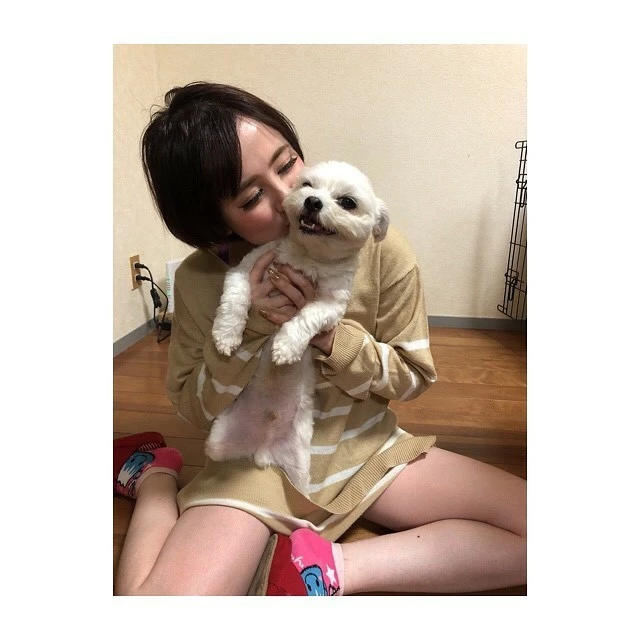 蓮