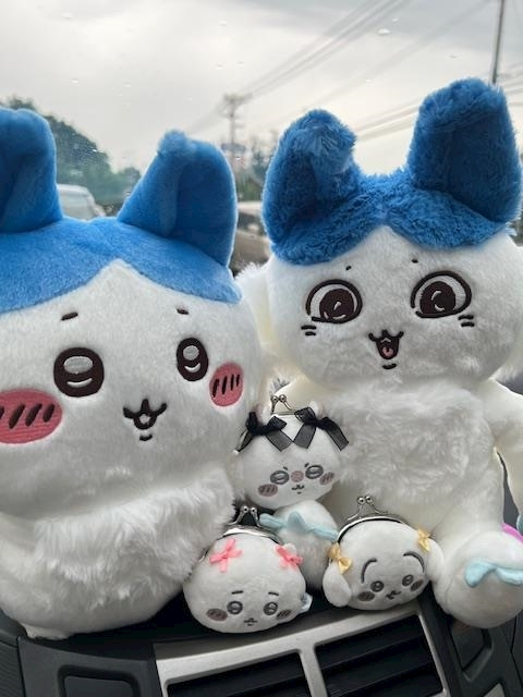美波 ななみ
