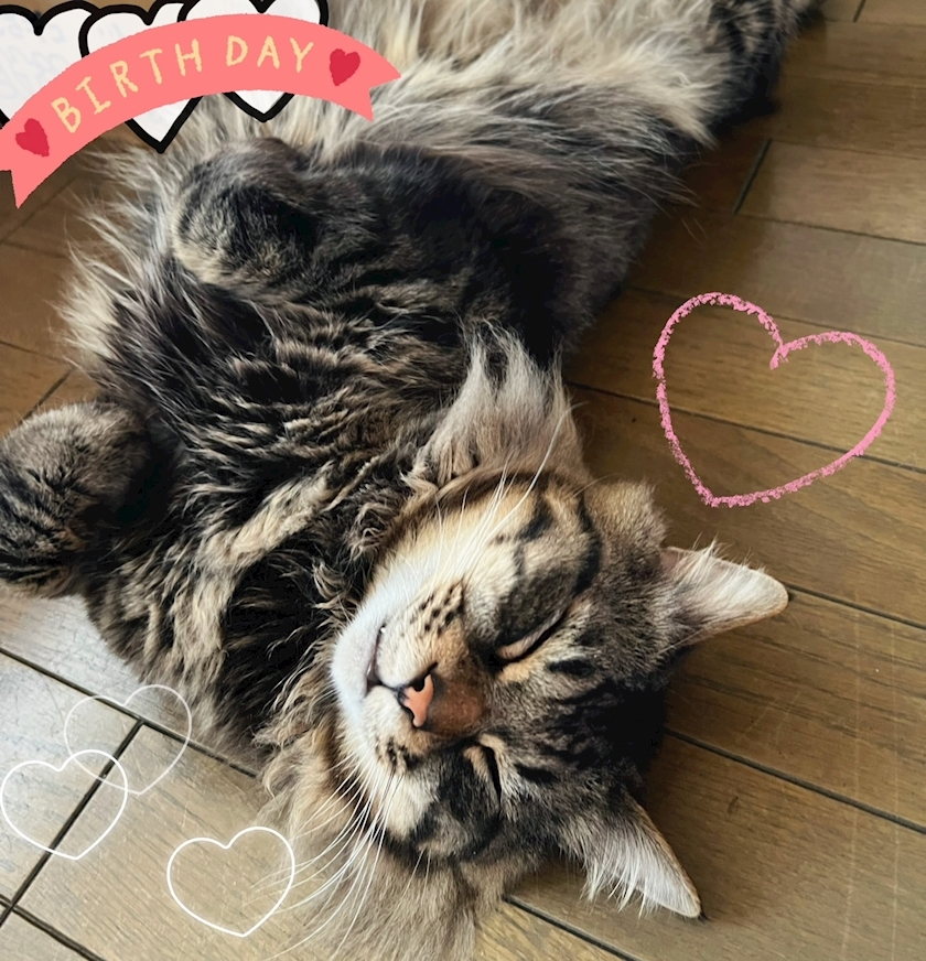 杉谷 ちなみ