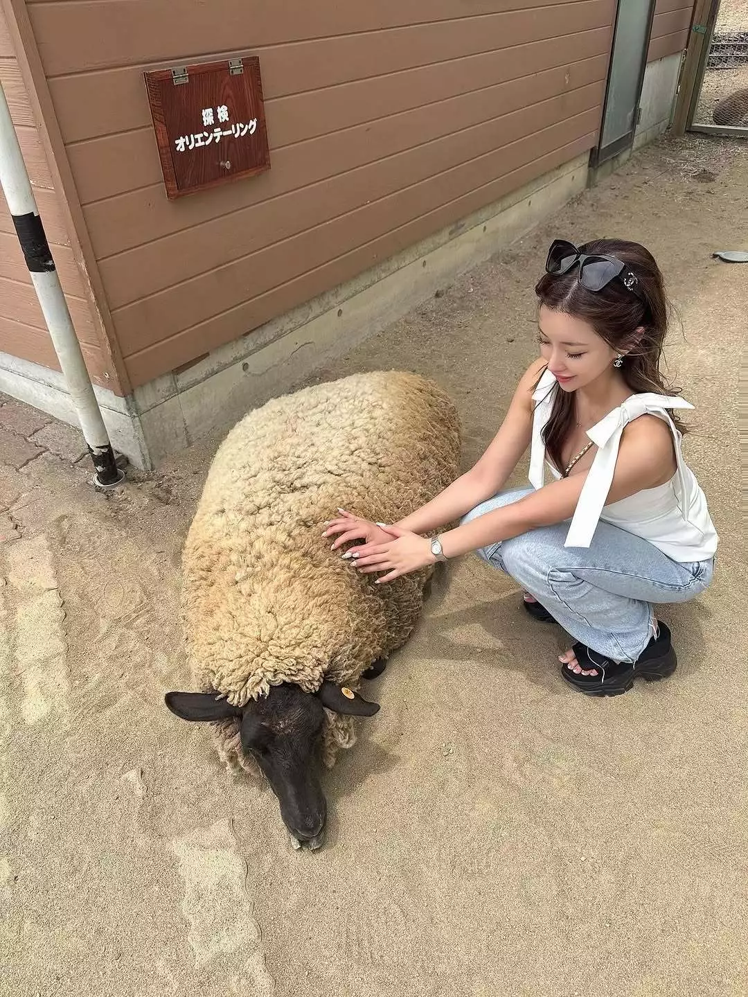 みお