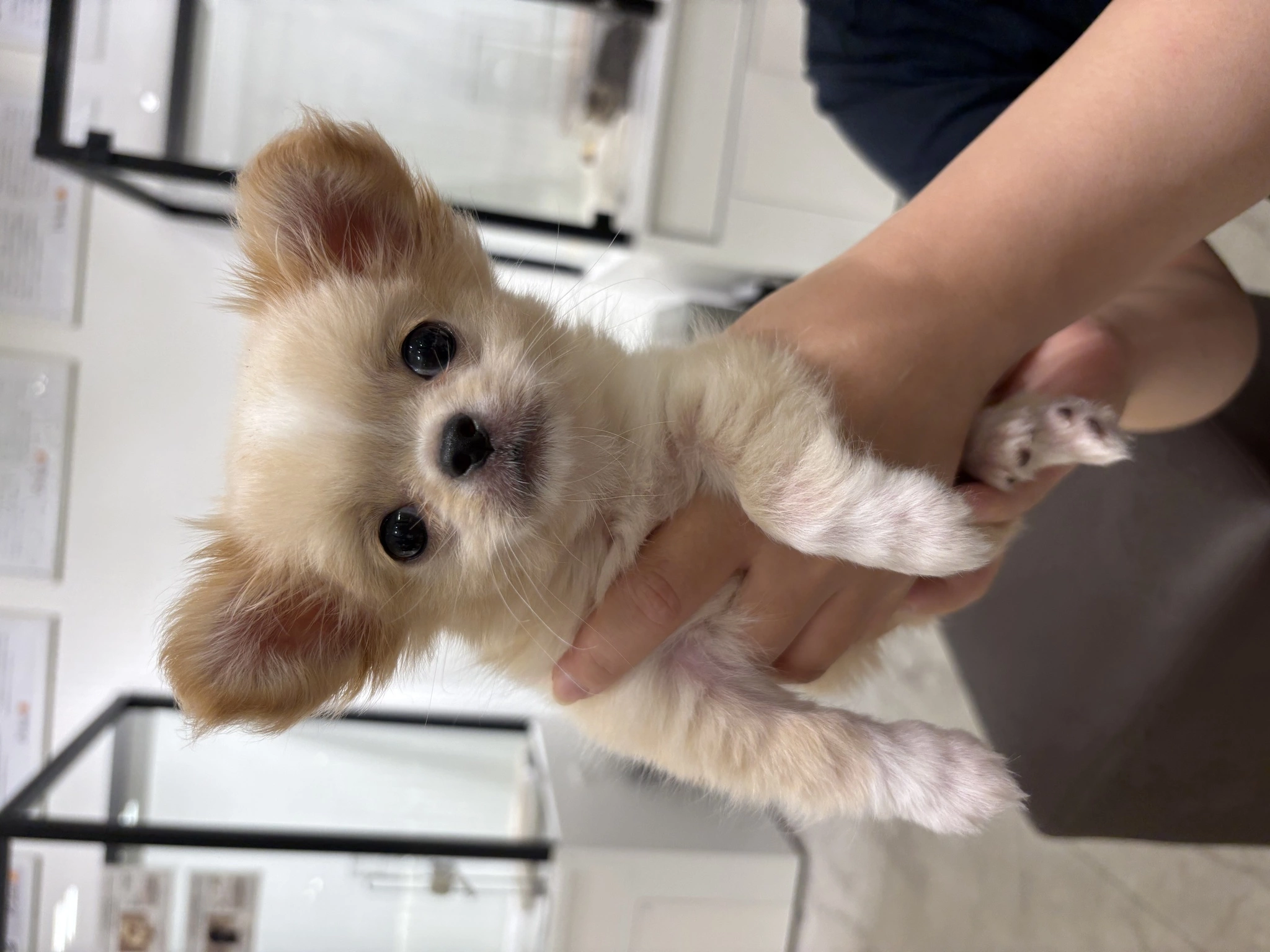 ゆな