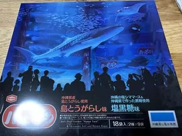 白石 愛莉