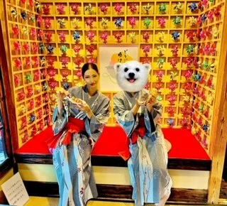 ゆかり