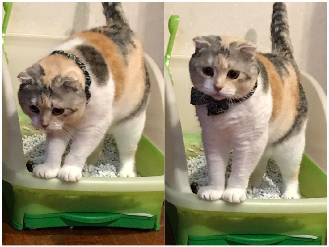 しの