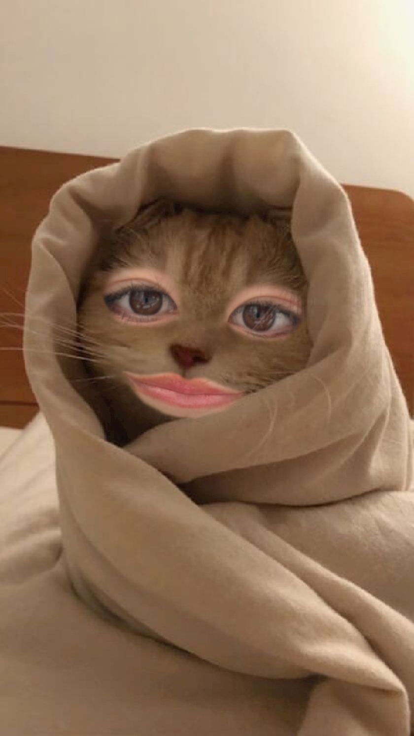 ルル