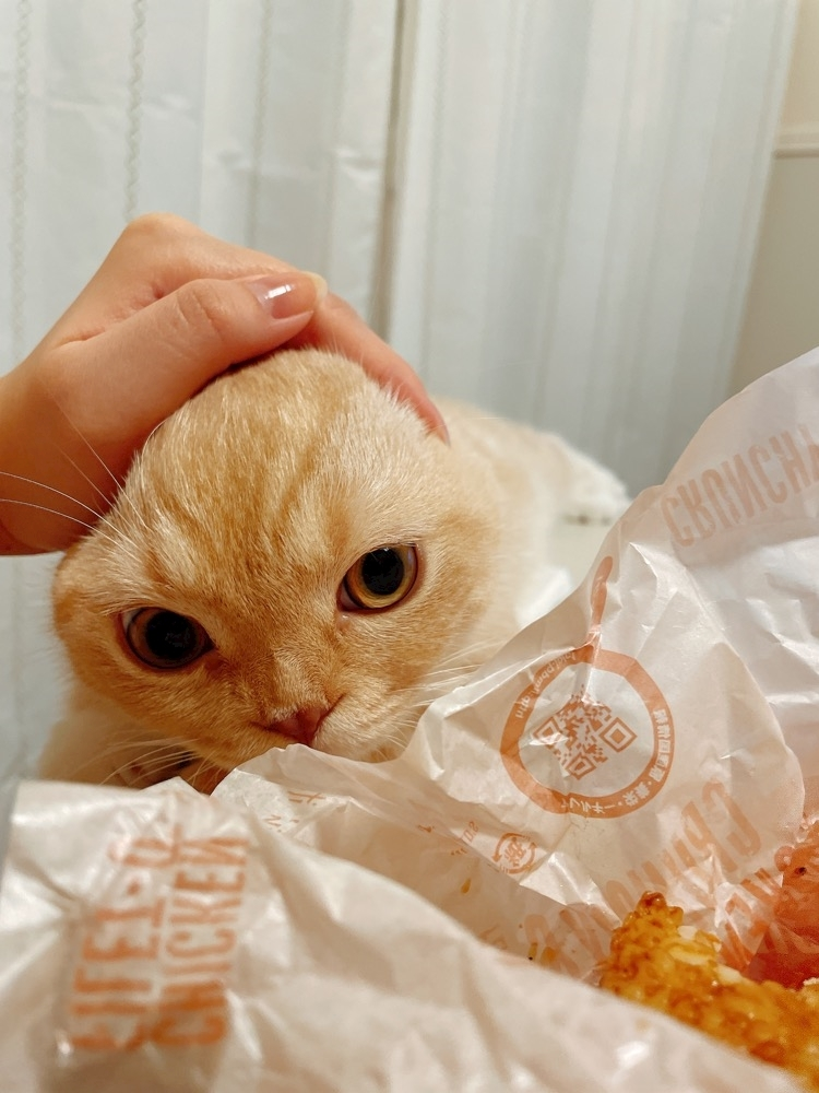 あおい