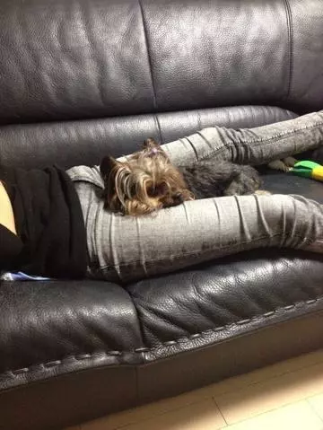 あやの