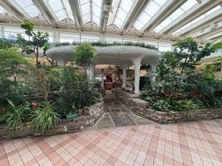 宝條 夏恋