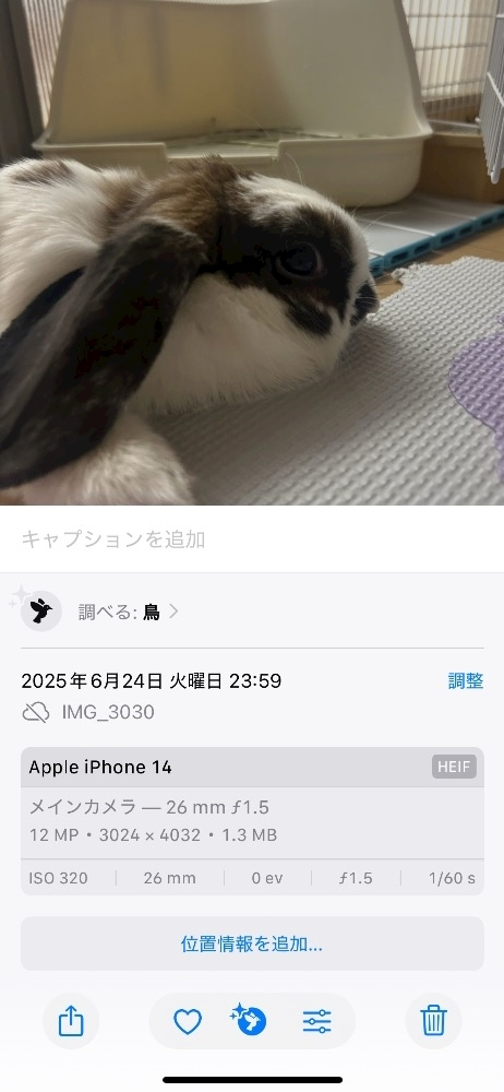 湊崎 さな