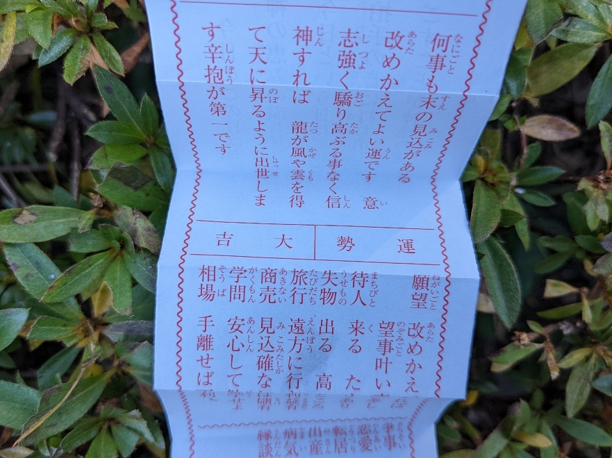 五条 椿