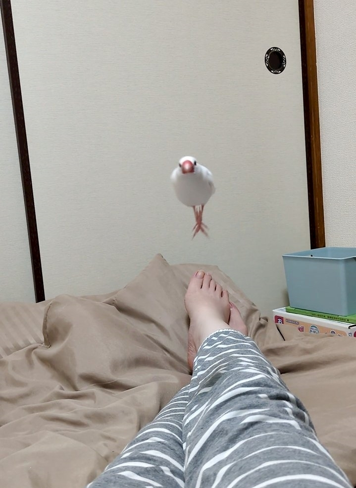 ゆな