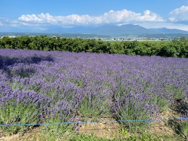 夏樹 あや