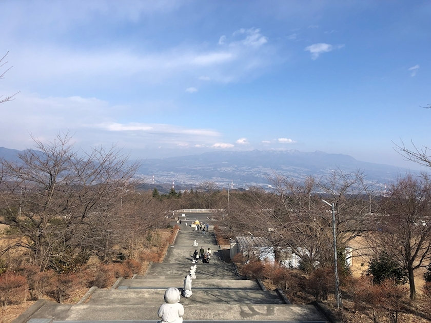 せいか