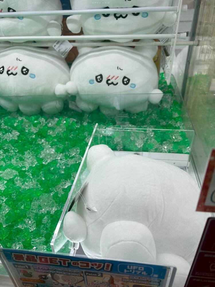 佐野 エマ