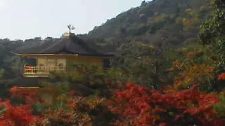 美幸