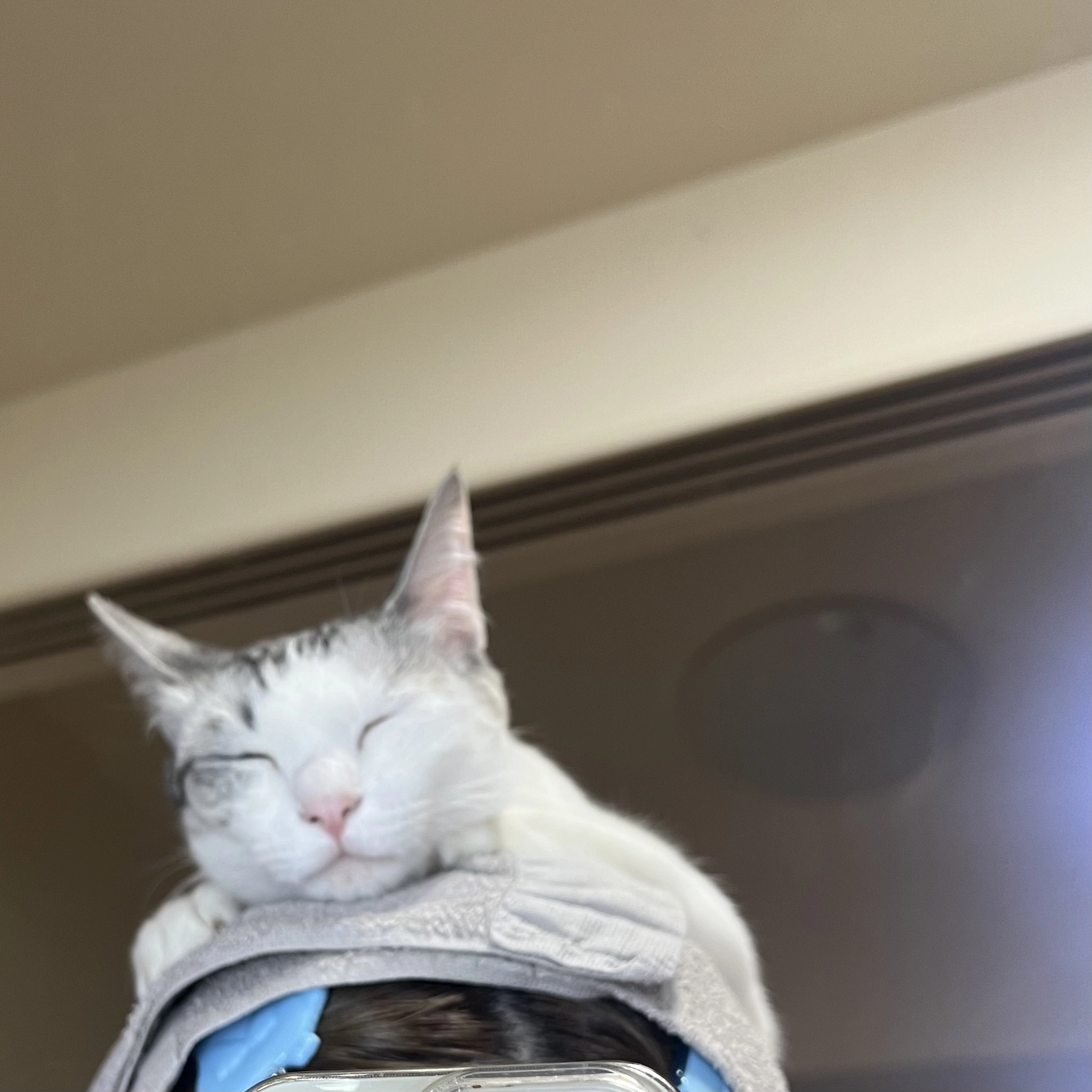 とあ