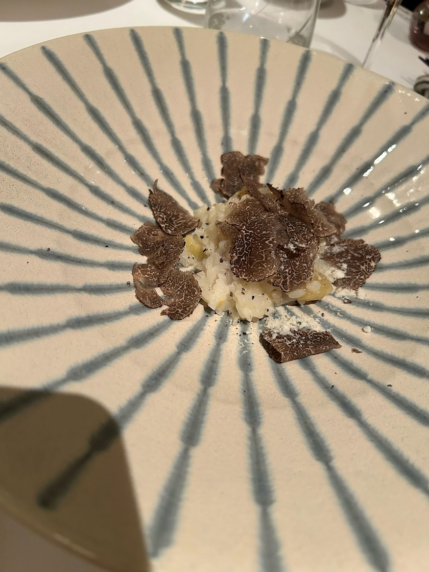 泉 りさ