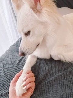 京 さゆみ