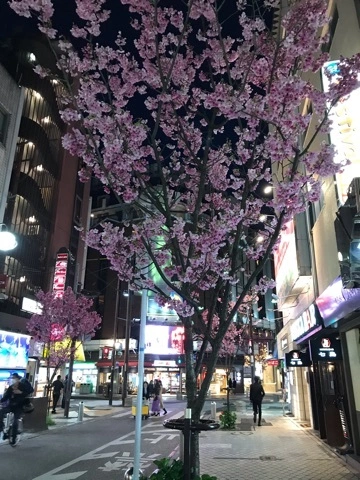 美咲