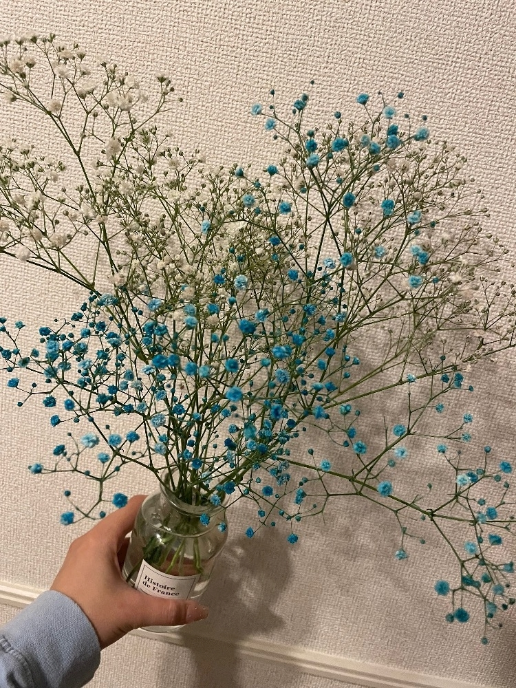 美月