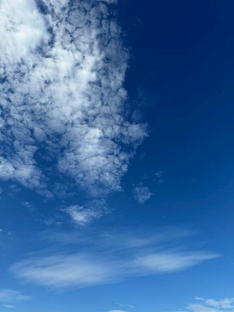 ゆきの