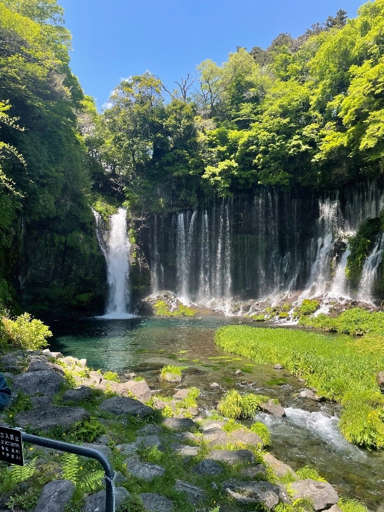 夢咲 あい