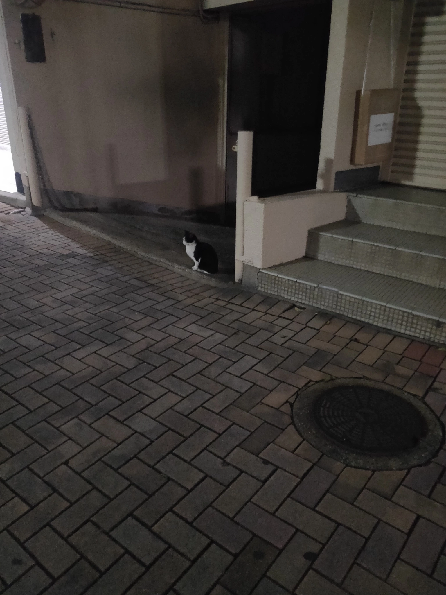 みなみ
