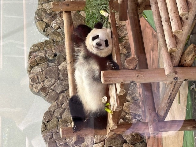 あい